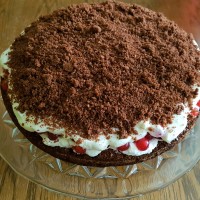Johannisbeer-Schokoladenkuchen / Red Currant Chocolate Cake